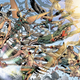Hawkman #10
